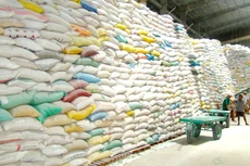 Gói thầu Xây lắp số 1 Công trình Nâng cấp kho lương thực (kho số 2) - Kho dự trữ Phan Rang, Ninh Thuận có giá dự toán hơn 11,4 tỷ đồng. Ảnh minh họa