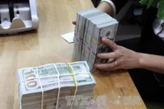Tỷ giá USD hôm nay 29/6 tăng mạnh. Ảnh minh họa: TTXVN