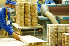 Hiện có khoảng 2,5 triệu hộ kinh doanh trong tổng số 5 triệu hộ có đủ điều kiện để thành lập doanh nghiệp. Ảnh: Nhã Chi