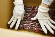 Trong 10 gói mua sắm tập trung thuốc quốc gia công bố gần đây, Công ty CP Dược liệu Trung ương 2 trúng số lượng lớn nhất với tổng giá trúng thầu là 4.073 tỷ đồng. Ảnh: Lê Tiên