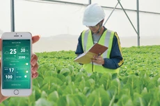 Đầu tư ứng dụng công nghệ cao chính là “chìa khóa vàng” để nông nghiệp Việt bứt phá. Ảnh: Minh Phương