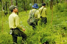 Gói thầu Mua sắm trang phục kiểm lâm năm 2019 của Chi cục Kiểm lâm tỉnh Điện Biên bị hủy thầu do cả 3 nhà thầu nộp HSDT đều không đáp ứng yêu cầu của HSMT. Ảnh: Văn Khương (Dân Việt)