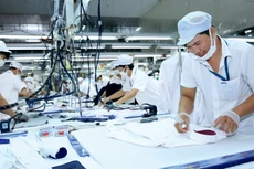 Nâng cao năng suất lao động khu vực doanh nghiệp đóng vai trò quyết định tới việc nâng cao năng suất lao động của toàn bộ nền kinh tế. Ảnh: Lê Tiên