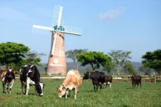 Các trang trại bò sữa organic của Vinamilk là một trong những điểm nhấn được Hội nghị đánh giá cao