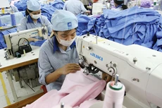 Việt Nam đã có quy định về dán nhãn lên sản phẩm, nhưng chưa có quy định thế nào là sản phẩm “Made in Vietnam”. Ảnh: Tường Lâm