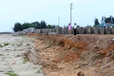 12 gói thầu thuộc các dự án xử lý cấp bách công trình đê điều bị sự cố do ảnh hưởng của bão, lũ năm 2017 tại Thanh Hóa được giao cho các nhà thầu từ tháng 12/2018. Ảnh: Hữu Đại