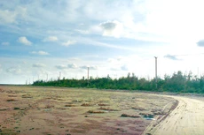 Dự án Đầu tư xây dựng công trình tuyến đường bộ ven biển tỉnh Thái Bình có tổng mức đầu tư 3.872 tỷ đồng. Ảnh: Hưng Trần