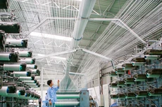 Doanh nghiệp trong nước đang dần cải thiện năng lực xuất khẩu, dù tốc độ còn khá chậm và cơ cấu hàng hoá chưa chuyển biến mạnh mẽ. Ảnh: Tường Lâm