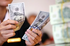 Lũy kế từ đầu năm đến ngày 17/4/2019, Ngân hàng Nhà nước đã mua được 8,35 tỷ USD bổ sung dự trữ ngoại hối. Ảnh: Minh Dũng