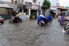 Điểm tin kế hoạch lựa chọn nhà thầu một số gói thầu lớn ngày 25/09