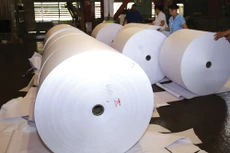 Lượng giấy bị các bị cáo trong vụ án lừa trị giá hơn 8,8 tỷ đồng. Ảnh: Hoài Tâm