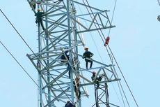 Vì sao có nhiều cuộc thầu “đứt gánh giữa đường”?