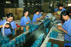 Chỉ có 11% doanh nghiệp tư nhân hướng đến xuất khẩu thông qua người mua hàng quốc tế. Ảnh: Ngọc Kỳ