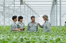 Mở đường cho doanh nghiệp đầu tư vào nông nghiệp