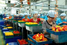 Vào cuộc cắt giảm thực chất chi phí cho doanh nghiệp