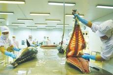 Đã đến lúc DN trong cùng ngành hàng phải liên kết để xây dựng thương hiệu, phát triển chuỗi cung ứng. Ảnh: Lê Tiên