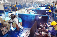 Việc ứng dụng công nghệ robot - cơ điện tử trong quá trình sản xuất ở Việt Nam chưa nhiều. Ảnh: LTT