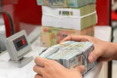 Tỷ giá USD ổn định tại các ngân hàng thương mại. Ảnh minh họa: TTXVN