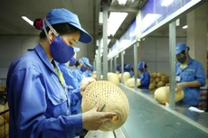 Đến tháng 5/2018, Quỹ Phát triển DNNVV đã hỗ trợ tư vấn về điều kiện, tiêu chí, hồ sơ, thủ tục vay vốn cho trên 1.600 DNNVV. Ảnh: Nhã Chi