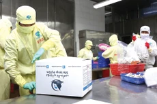 Các thương vụ đã hỗ trợ tích cực trong việc thúc đẩy xuất khẩu các mặt hàng nông sản, thủy sản… Ảnh: Hoài Tâm