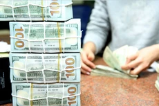 USD dự báo sẽ tiếp tục tăng trong 6 tháng cuối năm 2018. Ảnh: Lê Tiên