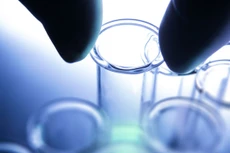 Ảnh minh họa: Internet