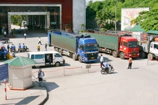 Gần 50% doanh nghiệp được khảo sát cho biết đã trả phí “bôi trơn” khi làm thủ tục thông quan. Ảnh: Tường Lâm