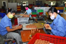 Theo Dự thảo Nghị định về tổ chức và hoạt động của Quỹ Phát triển doanh nghiệp nhỏ và vừa, vốn điều lệ do ngân sách nhà nước cấp cho Quỹ là 2.000 tỷ đồng. Ảnh: Lê Tiên