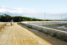 Chỉ có 3 nhà thầu nộp HSDT Gói thầu số 9 của Dự án Đường liên huyện dọc kênh chính qua các huyện Hàm Thuận Bắc, Bắc Bình, Tuy Phong (Bình Thuận). Ảnh: Đức Thâu