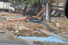 Gian nan chống tiêu cực trong đấu thầu