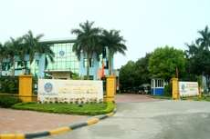 Viglacera Tiên Sơn phải chịu nhiều áp lực khi thị trường gạch đã xuất hiện tình trạng dư cung. Ảnh: Lê Tiên