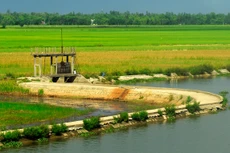 Công tác đấu thầu trong lĩnh vực thủy lợi, giao thông nông thôn thời gian qua có nhiều vấn đề khiến nhà thầu bức xúc. Ảnh: Hoài Tâm