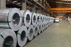 Hoa Sen chốt cổ tức tiền mặt tỷ lệ 10%