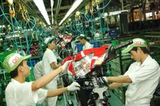 Khẩn trương hoàn thiện Đề án thống kê khu vực kinh tế chưa được quan sát