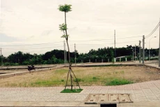 Khánh Cường “bao sân” Dự án Khu đô thị Nguyễn Huệ (Hậu Giang)?