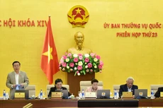 Ủy ban Thường vụ Quốc hội thảo luận về các vấn đề còn ý kiến khác nhau của Dự án Luật Đơn vị hành chính - kinh tế đặc biệt. Ảnh: Lâm Hiển