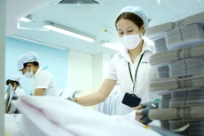 Với chính sách bảo hộ thương mại của Mỹ và một số nền kinh tế khác, nền kinh tế Việt Nam năm 2019 dự báo sẽ chịu một số tác động. Ảnh: Lê Tiên