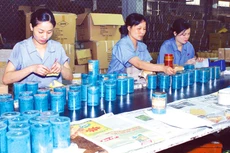 Hộ kinh doanh sẽ mặn mà hơn với việc chuyển đổi thành doanh nghiệp khi nhìn thấy nhiều ưu thế hơn. Ảnh: Nhã Chi