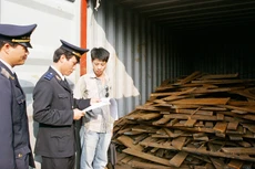 Hiện có tới 6.000 container phế liệu tồn đọng tại các cảng trên cả nước. Ảnh: Tường Lâm