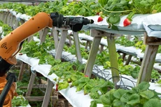 Tại Việt Nam, cơ hội cho startup công nghệ ở lĩnh vực nông nghiệp là rất rộng mở