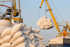 Thủ tướng Chính phủ yêu cầu các bộ, ngành, địa phương tạo thuận lợi cho hoạt động sản xuất và xuất khẩu của doanh nghiệp. Ảnh: Nhã Chi