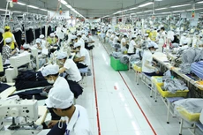 Nước ta đã trải qua 4 lần cải cách chính sách tiền lương vào các năm 1960, 1985, 1993 và 2003, song vẫn còn nhiều bất cập, chưa đáp ứng yêu cầu của thực tiễn. Ảnh: Nhã Chi