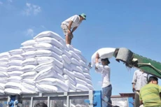 FONEXIM hoạt động chính trong lĩnh vực gia công, kinh doanh các mặt hàng đường, nông sản, dầu ăn…