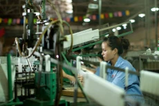 Bóng đèn Phích nước Rạng Đông chốt chi cổ tức tỷ lệ 30%