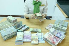 Tỷ giá USD hôm nay 15/6 tại Vietcombank giảm nhẹ. Ảnh minh họa: BNEWS/TTXVN