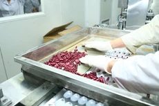 Bảo hiểm Xã hội Việt Nam có trách nhiệm công khai giá từng loại thuốc trúng thầu trung bình được thanh toán từ nguồn quỹ bảo hiểm y tế. Ảnh: Nhã Chi