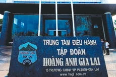 Các khoản phải thu ngắn hạn của HAGL Agrico đạt 3.223 tỷ đồng, trong đó, phải thu ngắn hạn từ Công ty mẹ là HAGL và các công ty liên quan chiếm tới 45%