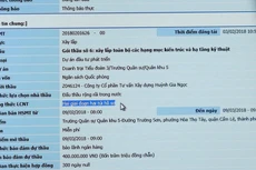 Bên mời thầu phải chịu trách nhiệm về tính chính xác của thông tin khi dùng chứng thư số để cung cấp lên Hệ thống mạng đấu thầu quốc gia. Ảnh: Lê Tiên