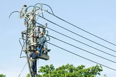 Với gói thầu bị chấm dứt hợp đồng, VNECO7 chào giá chỉ bằng khoảng một nửa giá gói thầu. Ảnh: Thế Anh