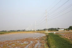 Thông qua đấu thầu rộng rãi, Gói thầu Xây lắp đường dây 500kV Tây Hà Nội - Thường Tín trị giá hơn 342 tỷ đồng đã đạt tỷ lệ tiết kiệm 31,1%. Ảnh: Nhã Chi